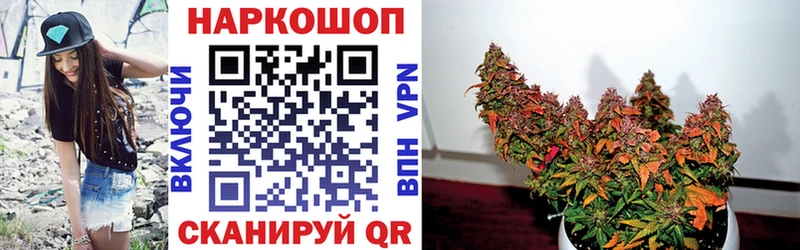 Где продают наркотики Балашиха Гашиш  A-PVP  ОМГ ОМГ как войти  Кокаин  МЕФ 