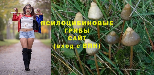 мдпв Нязепетровск