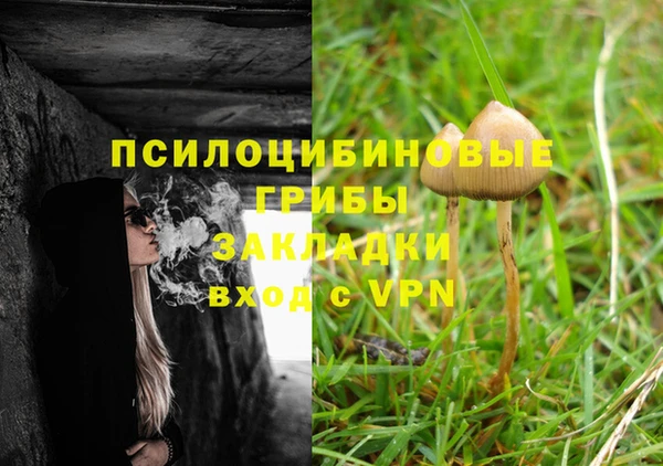 эйфоретик Нягань