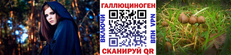 Галлюциногенные грибы прущие грибы  МЕГА как войти  Балашиха 