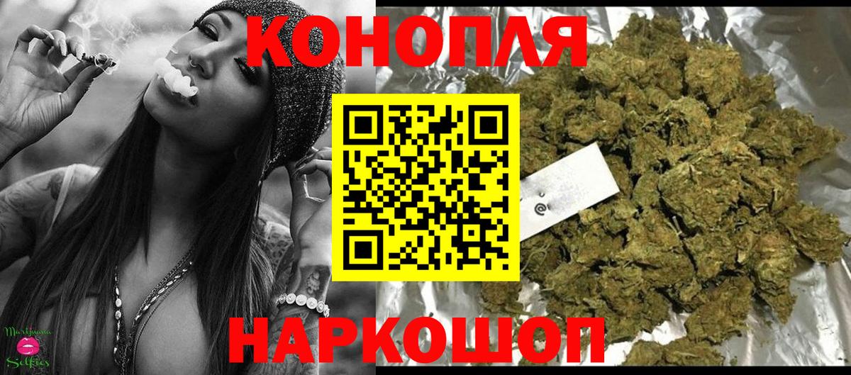 Конопля OG Kush  Балашиха  Канабис планчик  Каннабис SATIVA & INDICA 